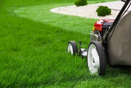 lawn-mower-1-crop